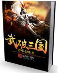 武破三国免费阅读