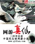网游我真