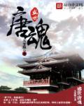 盛世唐州