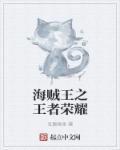 海贼王之王者荣耀 无同