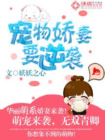 娇宠妻奴
