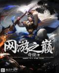 网游之巅峰传说TXT