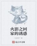 火影人物穿越家教
