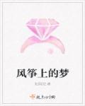 风筝和梦想