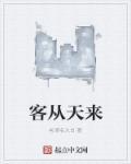 客从天来英文翻译