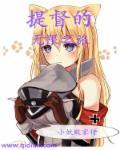 提督的进化之路