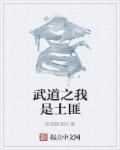 从土匪开始武道