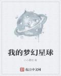 梦幻星球多少钱