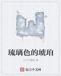 琉璃色琥珀猎人动漫