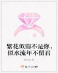 似水繁华若流年