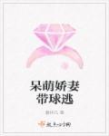 呆萌娇妻万万岁