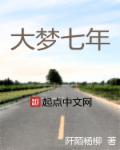 大梦七年73集