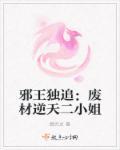 邪王追妻·废材逆天小姐