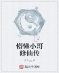 懵懂小哥修仙传百度百科