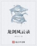 风云神剑录