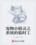 宠物小精灵之大英雄系统