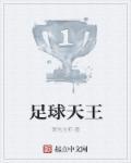 足球天王108名闪光的足球巨星