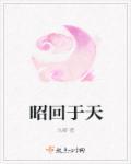 昭回于天的昭怎么读