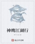 电视剧神鹰