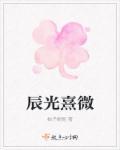 辰光熹微藏碧色暗示什么