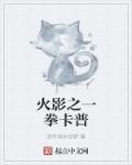 火影之一拳系统txt