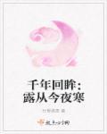 露从今夜白的全诗翻译