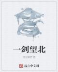 一剑朝天全文阅读