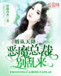 总裁大人接招免费观看