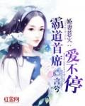 掌中之物总裁别惹我