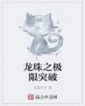 龙珠之完美进化