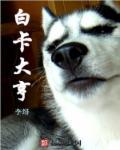 白卡bk—d