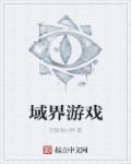 域之纪元游戏