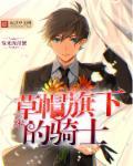 草帽一伙登场