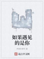 如果遇见歌词