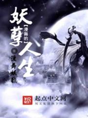 妖孽人生 寻飞