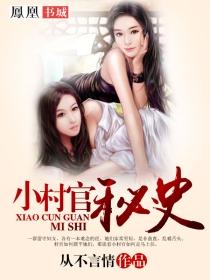 小村官系统