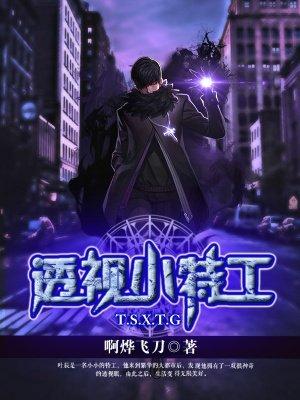 透视小保