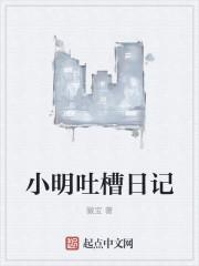 小明过生日日记