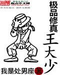 极品修真强少结局