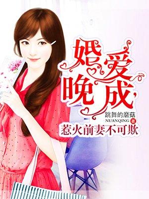 婚爱晚成惹火前妻不可欺全文免费阅