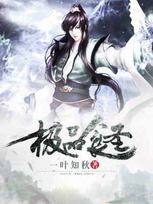极品圣王免费全文阅读