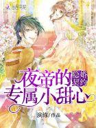 夜帝的替婚新妻完整版