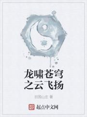 龙啸云之子