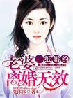 一纸离婚书全文免费阅读