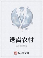 逃离农民的菜地 攻略