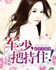 军婚火爆甜妻
