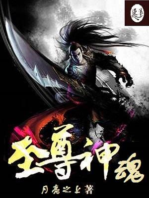 至尊神魂 百科
