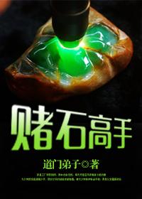 赌石高手好看吗