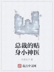 女总裁的贴身神医