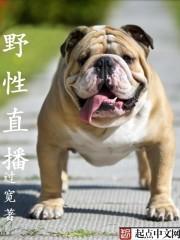 野性难驯战山为王车
